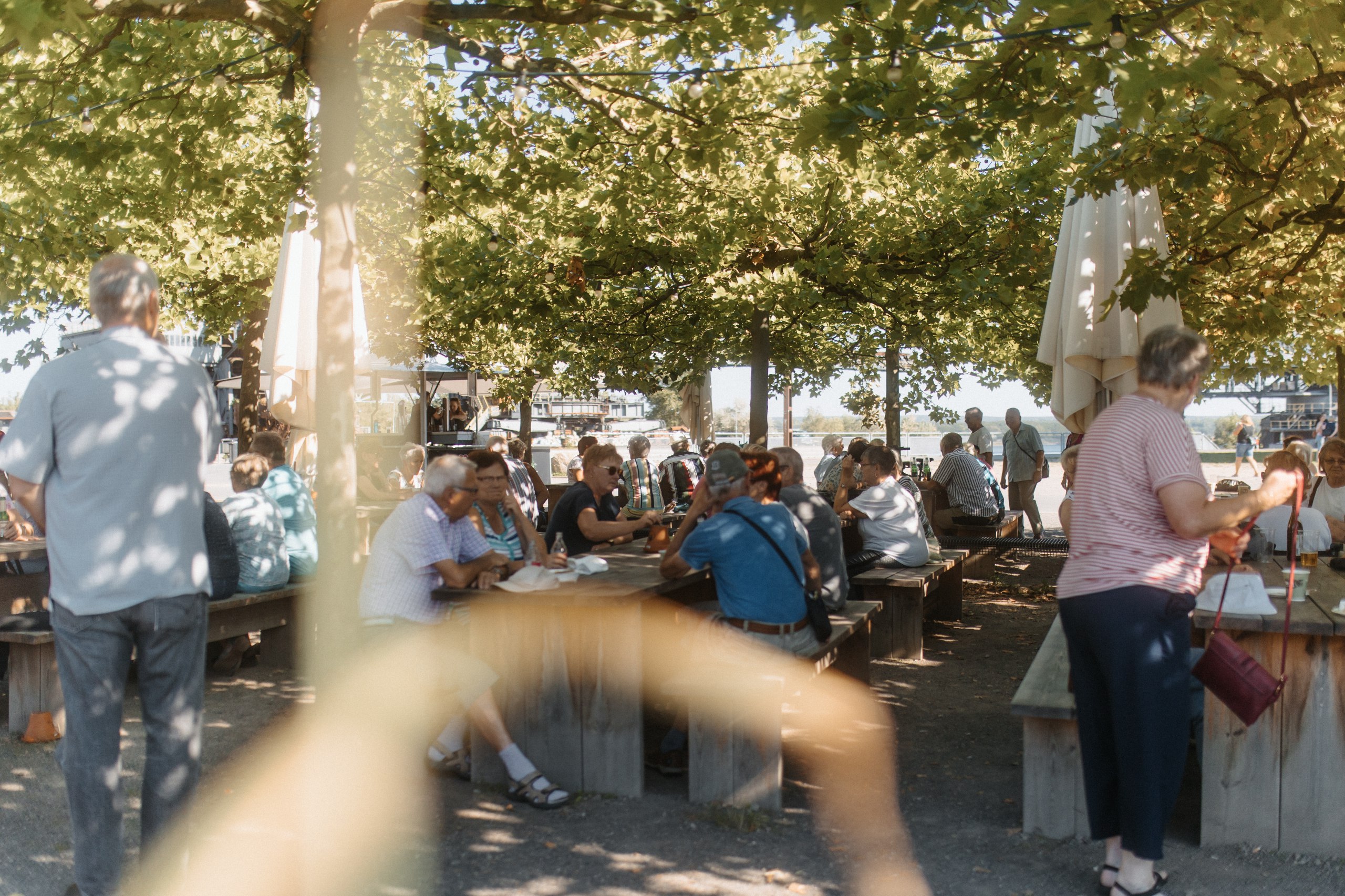 photo 5458584356256870534 w